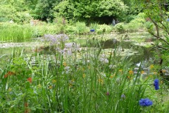 Fleurs de Giverny