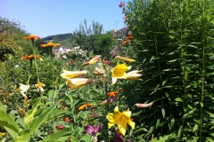 Fleurs de Giverny