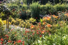 Fleurs de Giverny