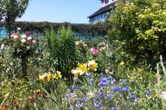 Fleurs de Giverny