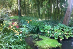 Rivière