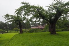 Hakodate - Fort Gorkyôkaku