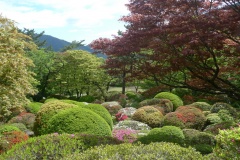 Hakone - Kowakidani