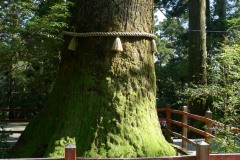 Hakone Jinja