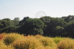 Hitachi kaihin kôen