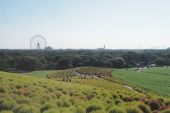Hitachi kaihin kôen