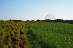 Hitachi kaihin kôen