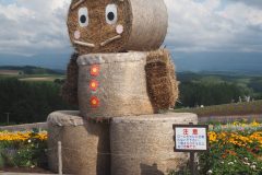 Biei - Shikisai no oka