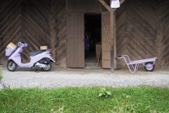 Furano - Farm Tomita