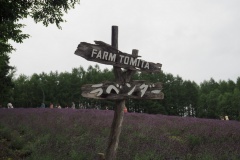 Furano - Farm Tomita