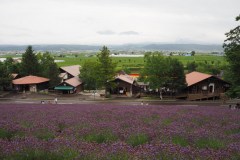 Furano - Farm Tomita