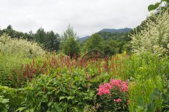 Furano - Kaze no garden