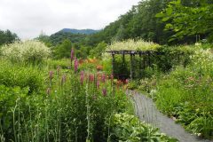 Furano - Kaze no garden