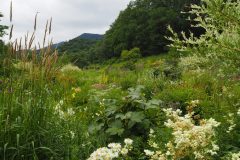 Furano - Kaze no garden