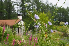Furano - Kaze no garden