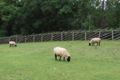 Furano - Kaze no garden