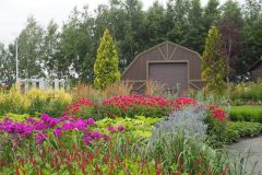 Asahikawa - Ueno Farm