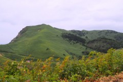 Rebun - Chemin de randonnée de Momoiwa