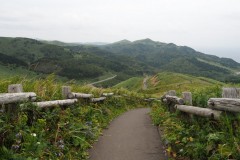Rebun - Chemin de randonnée de Momoiwa