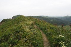 Rebun - Chemin de randonnée de Momoiwa