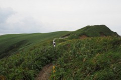 Rebun - Chemin de randonnée de Momoiwa