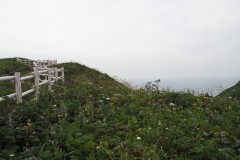 Rebun - Chemin de randonnée de Momoiwa