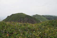 Rebun - Chemin de randonnée de Momoiwa
