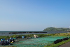 Cap Soya