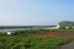 Cap Soya