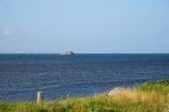 Cap Soya