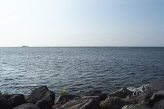 Cap Soya