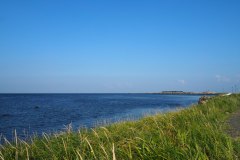 Cap Soya