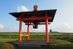 Cap Soya