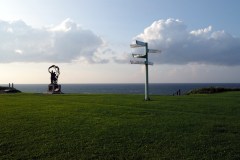 Cap Soya