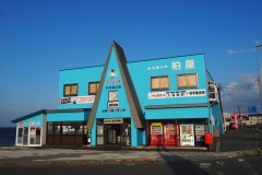 Cap Soya