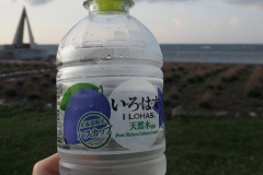 Cap Soya