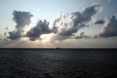 Cap Soya