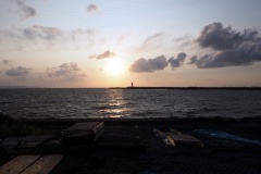 Cap Soya