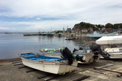 Cap Arasaki