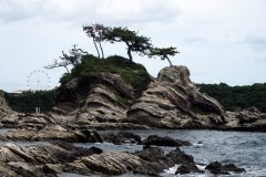 Cap Arasaki