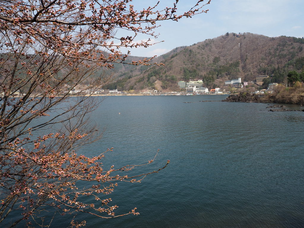Kawaguchiko