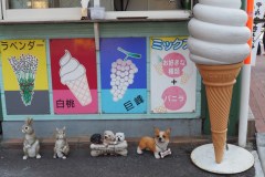 Glaces