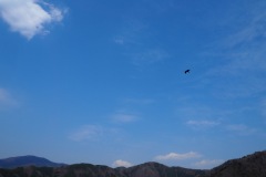 Kawaguchiko