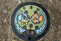 Kinchakuda - Plaque d'égoût