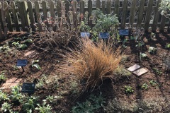 Nunobiki herb garden
