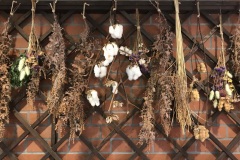 Nunobiki herb garden