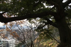 Kobe - Vue depuis les hauteurs