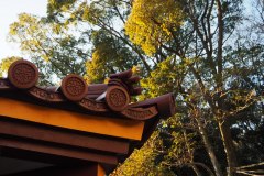 Kobe - Ikuta jinja