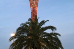 Tour de Kobe