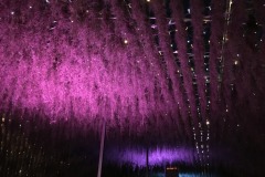 Illuminations